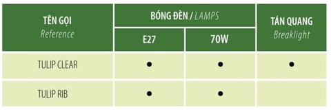 BÓNG ĐÈN TULIP - Đầu Đèn Trang Trí Công Viên /Cảnh Quan Sân Vườn cho cột từ 3-10m