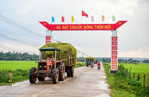 Đèn Đường LED cho dự án công trình chiếu sáng đường Nông Thôn Mới