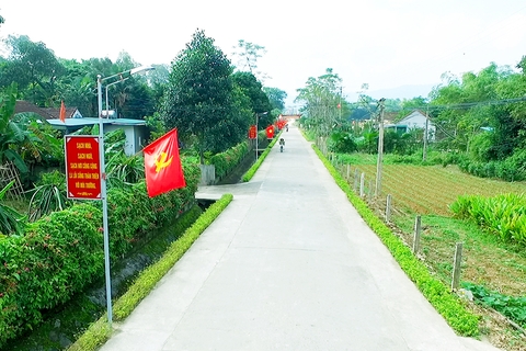 Đèn Đường LED cho dự án công trình chiếu sáng đường Nông Thôn Mới