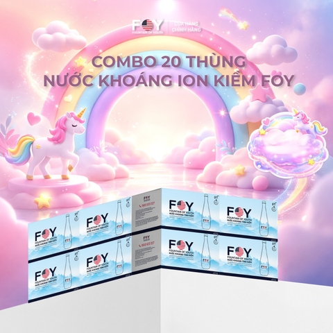COMBO 20 thùng FOY Artist 350ml