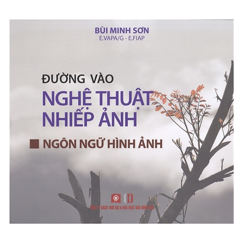 Sách Đường Vào Nghệ Thuật Nhiếp Ảnh - Ngôn Ngữ Hình Ảnh - Bùi Minh Sơn