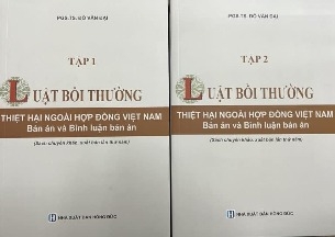 Combo (2 cuốn sách) Luật Bồi Thường Thiệt Hại Ngoài Hợp Đồng Việt Nam - Bản Án Và Bình Luận Bản Án (sách chuyên khảo) - GS.TS Đỗ Văn Đại