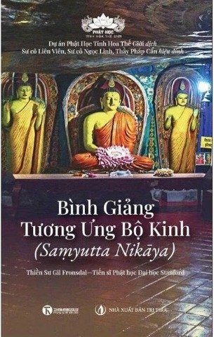 Bình Giảng Tương Ưng Bộ Kinh - Gil Fronsdal