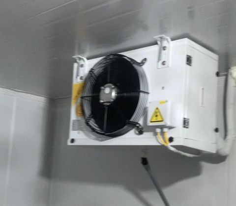 Kho lạnh bảo quản Hoa tại Yên Thế Bắc giang