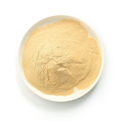 Nấm lên men