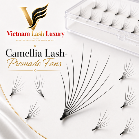 Camellia Lash- Promade Fans - 1000 Fans