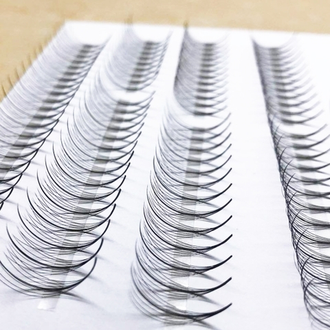 Wispy - Promade Fans - 1000 Fans