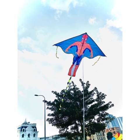 Diều đại