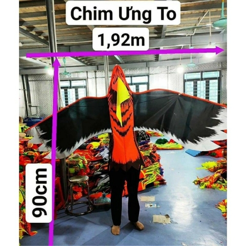 Diều đại