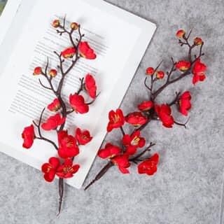 Sét phụ kiện làm cháp bánh kẹo