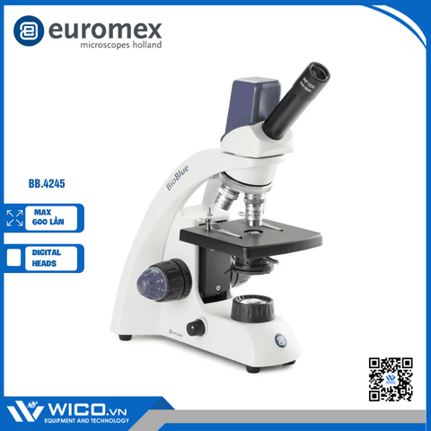 Kính hiển vi sinh học Euromex BB.4245 | Độ phóng đại 600 lần