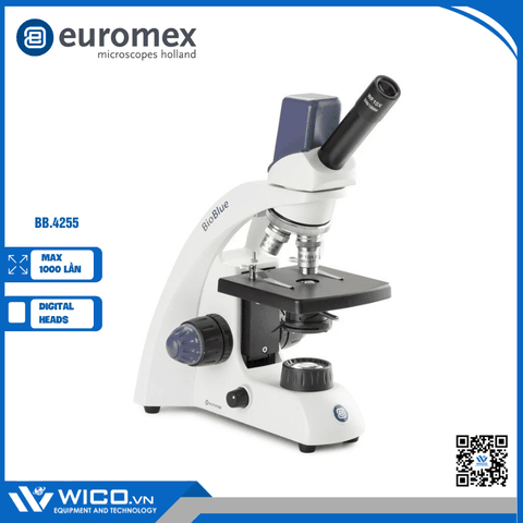 Kính hiển vi sinh học Euromex BB.4255 | Độ phóng đại 1000X