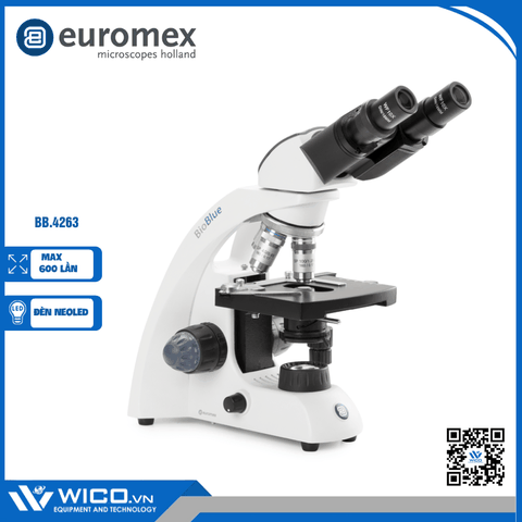 Kính hiển vi sinh học 2 mắt Euromex BB.4263 | Độ phóng đại 600 lần