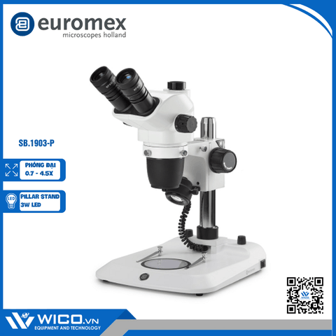 Kính Hiển Vi Soi Nổi Euromex SB.1903-P | 7 Đến 45 Lần