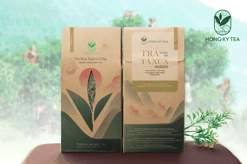 Trà Tà Xùa - Trà Shan Tuyết cổ thụ Sơn La - Hồng Kỳ Tea