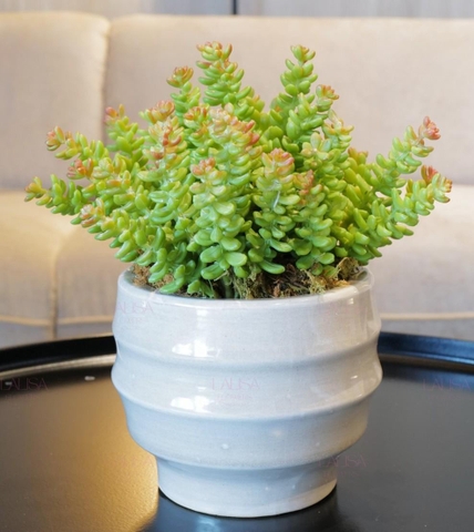 Hoa Lụa Cao Cấp: Vẻ Đẹp Không Phai Dành Cho Người Muốn Gửi Gắm Cảm Xúc Lâu Dài