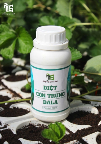 Diệt Côn Trùng DaLa (Chai 250ML)