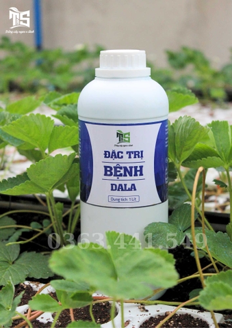 Đặc Trị Bệnh DALA