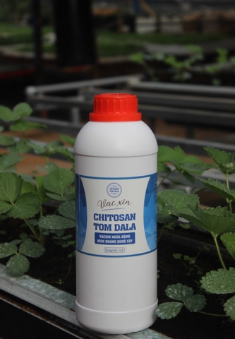 1Lít Vacxin Chitosan Tom Dala