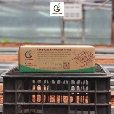 viên nén xơ dừa ươm cây hộp 50 viên