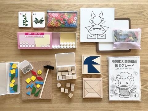 CHƯƠNG TRÌNH GIÁO DỤC TRÍ TUỆ PYGMALION