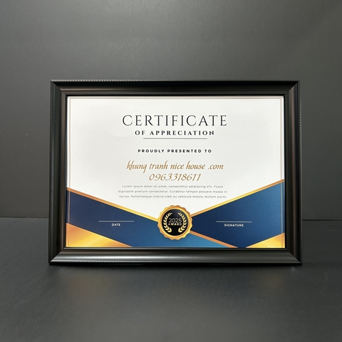 Khung Bằng Khen 101D