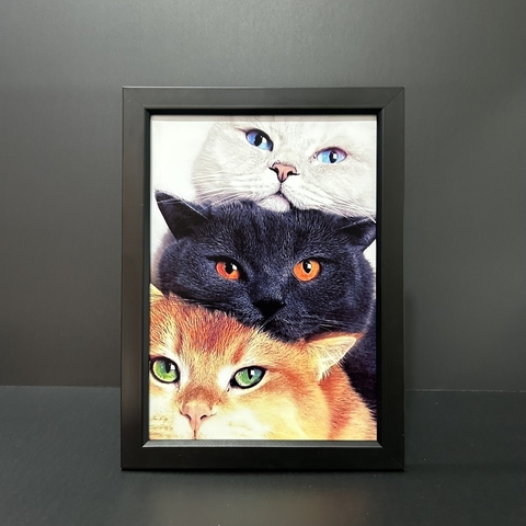 Mẫu Khung Gỗ 2015D