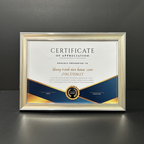 Khung Bằng Khen Màu Bạc Sang Trọng 205S