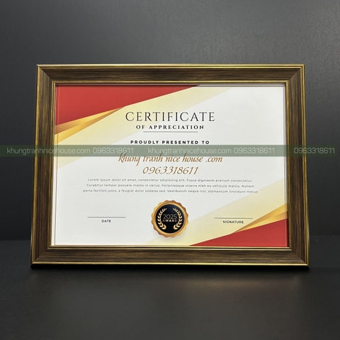 Khung Bằng Khen Đẹp Màu Nâu Ánh Vàng Xước 205V