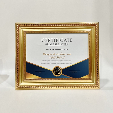 Khung Bằng Khen Vàng Đồng 214V