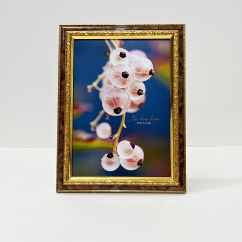 Mẫu Khung Nhựa Composite 252BR