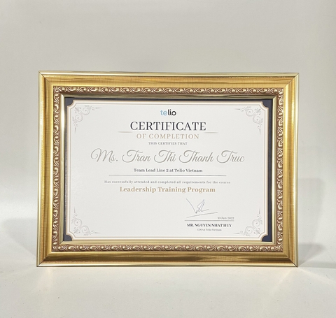 Khung 3707V02 SALE OFF