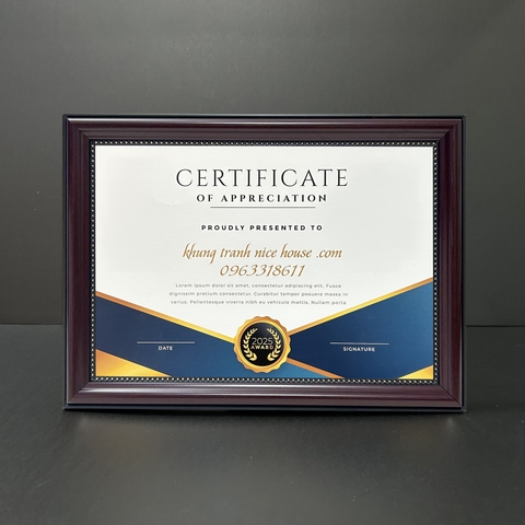 Khung Bằng Khen Nâu Hoa Văn Đơn Giản 324N