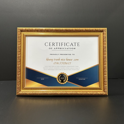 Khung Bằng Khen Vàng Đồng 366V