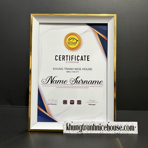 Khung bằng khen màu trắng phối chỉ vàng sang trọng CV-T