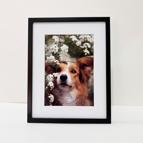 Khung Mix Viền F1D Đen Khung Bo F5T Trắng