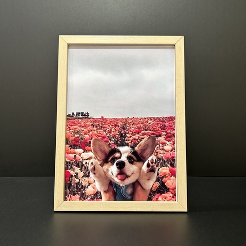 Mẫu Khung Nhựa Composite F1GN