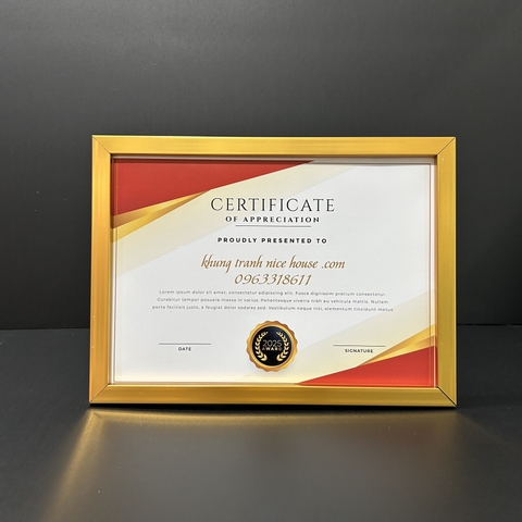 Khung Bằng Khen Vàng Đồng F1V