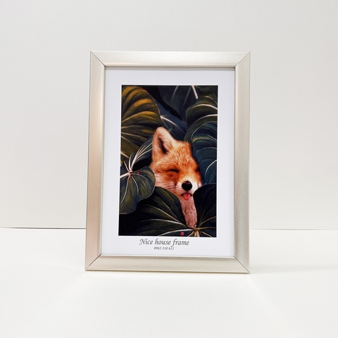 Mẫu Khung Nhựa Composite F2B