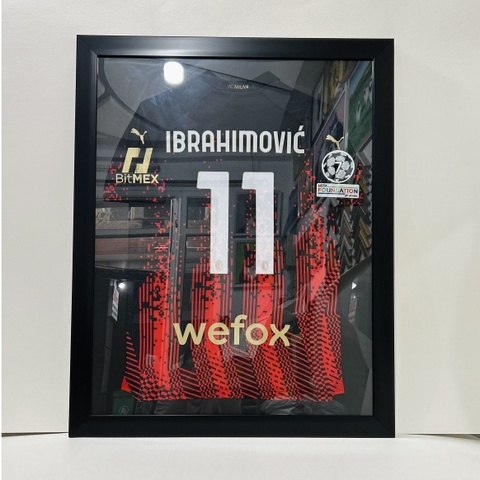 Khung Áo IBRAHIMOVIC 11