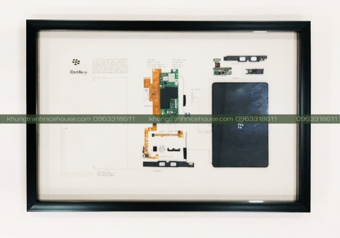 Khung Hộp Tiêu Bản F2D