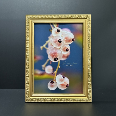 Mẫu Khung Gỗ SK7B