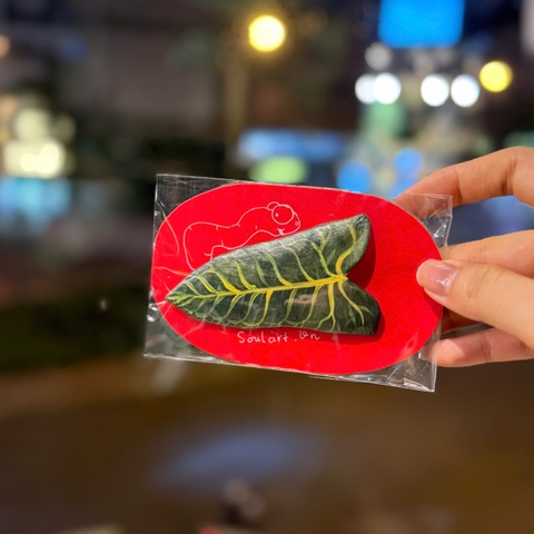 NAM CHÂM CHIẾC LÁ