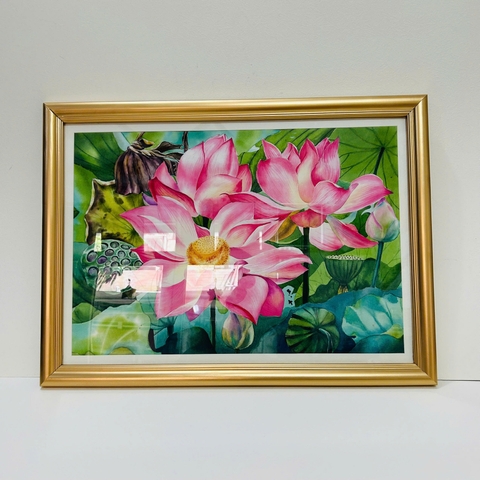 Tranh màu nước hoa sen