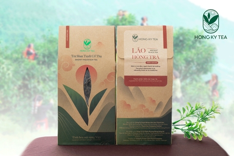 The Ancient Black Tea