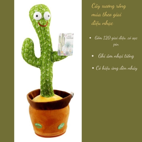 Xương rồng nhảy múa vui nhộn biết hát