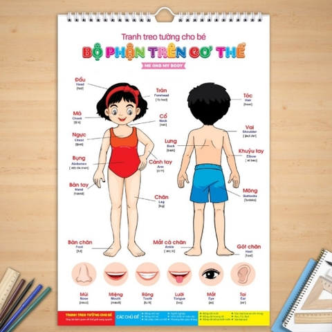 Bộ Tranh Treo Tường Cho Bé 14 Chủ Đề Song Ngữ