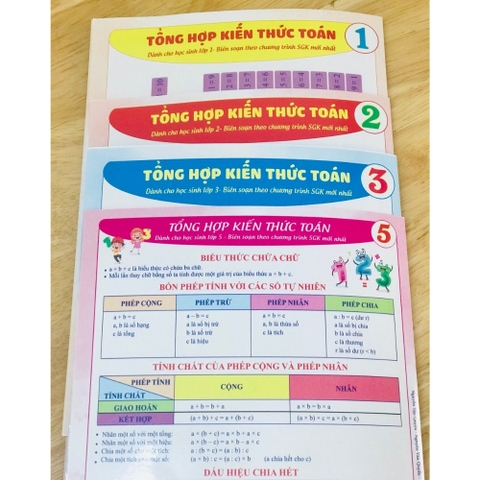 Sổ tổng hợp KT toán - Tiếng Việt tiểu học