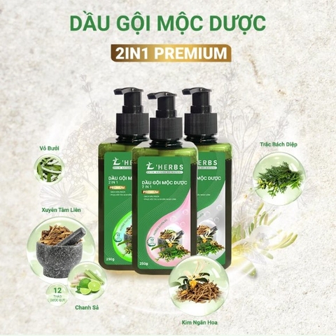 Dầu gội Mộc dược 2IN1 Premium - Hương Quyến rũ 250g