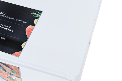 Tủ đông Aqua 1 cánh mở Inverter 301 lít AQF-C4001E